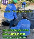 Bạt Nhựa HDPE 0.5mm Lót Hồ Chứa Nước Nuôi Cá tại Đắk Lắk, Giá Rẻ, Bạt Tốt